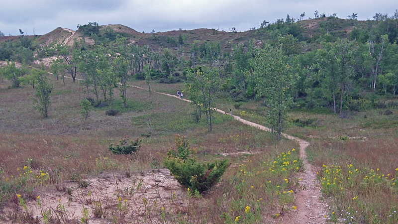 looking back on cottnwood trail